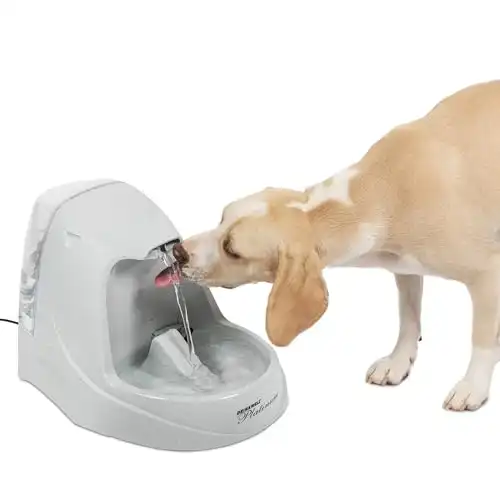 PetSafe Drinkwell Platinum Water Fountain