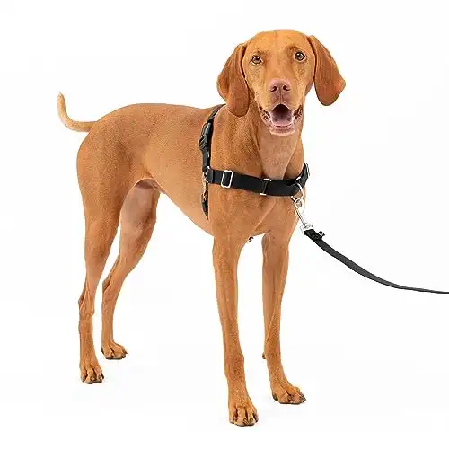 PetSafe No-Pull Dog Harness