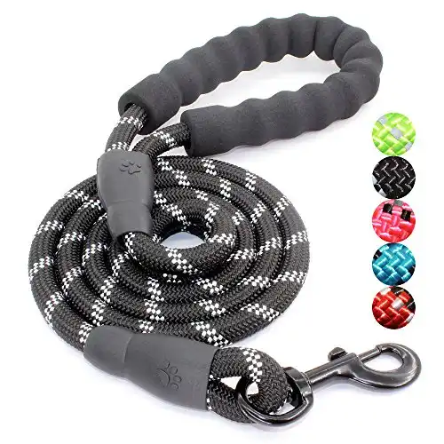 BAAPET Dog Leash with Comfortable Padded Handle