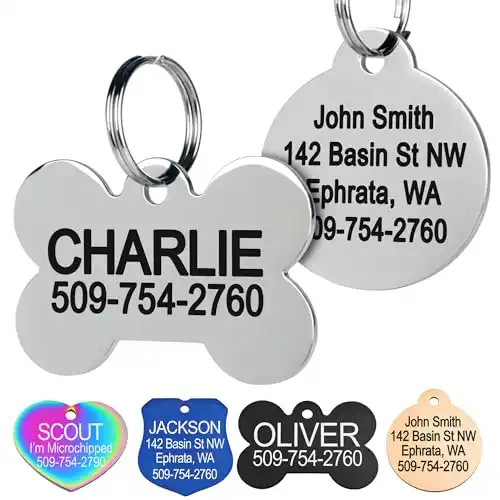 GoTags Stainless Steel Pet ID Tags
