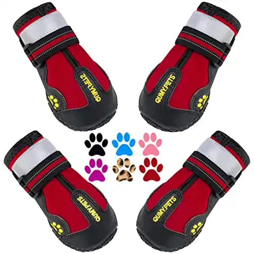 QUMY Dog Shoes