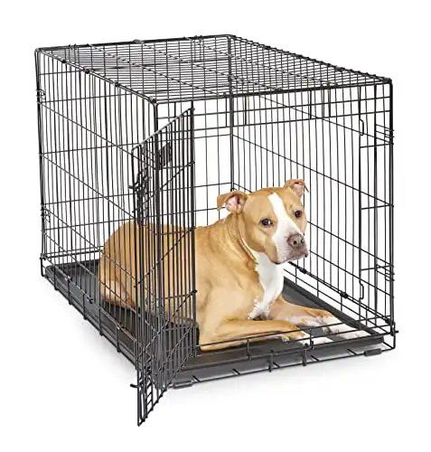 MidWest Homes for Pets Newly Enhanced Single Door iCrate Dog Crate