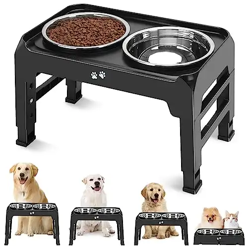 Elevated Stainless Steel Dog Bowls