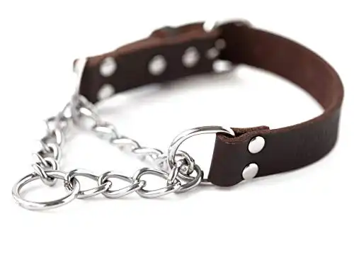 Mighty Paw Martingale Dog Collar