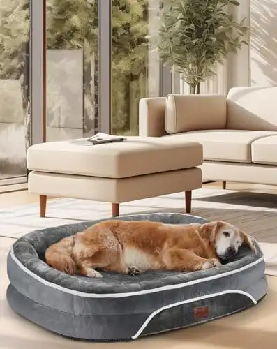 OhGeni Orthopedic Dog Bed