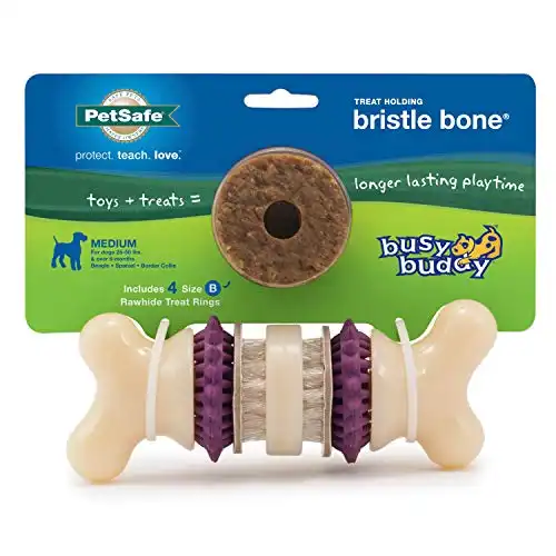 PetSafe® Busy Buddy® Bristle Bone® for Cleaner Teeth