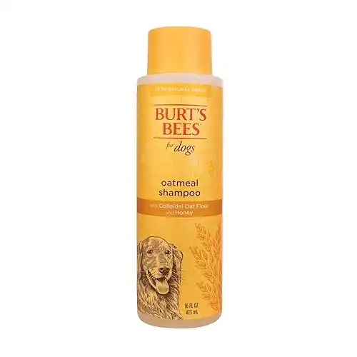 Burt's Bees for Pets Oatmeal Dog Shampoo