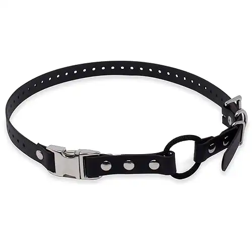 Educator Quick Snap Bungee Dog Collar