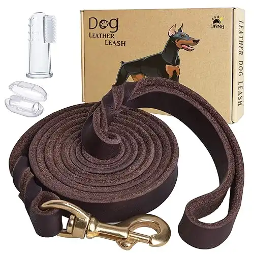 LWBMG Leather Dog Leash 6ft